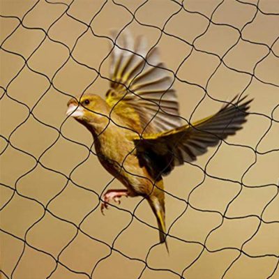 RAD Global - Anti Bird Net 3